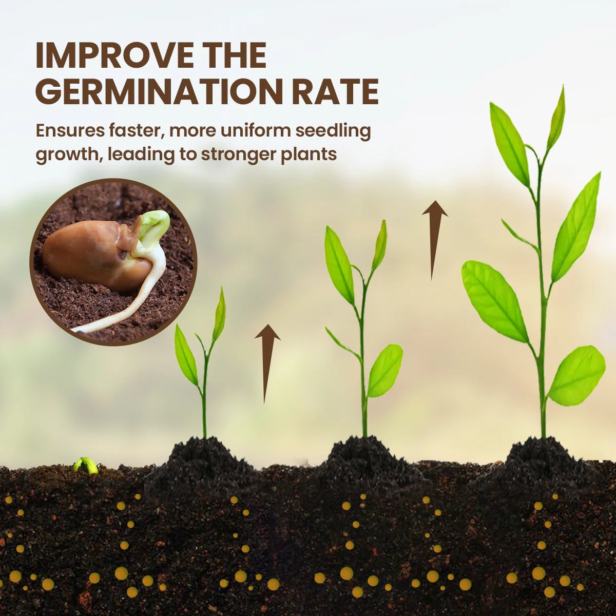 Daba™ Soil Activator – Revive Soil & Grow Stronger, Healthier Plants Naturally