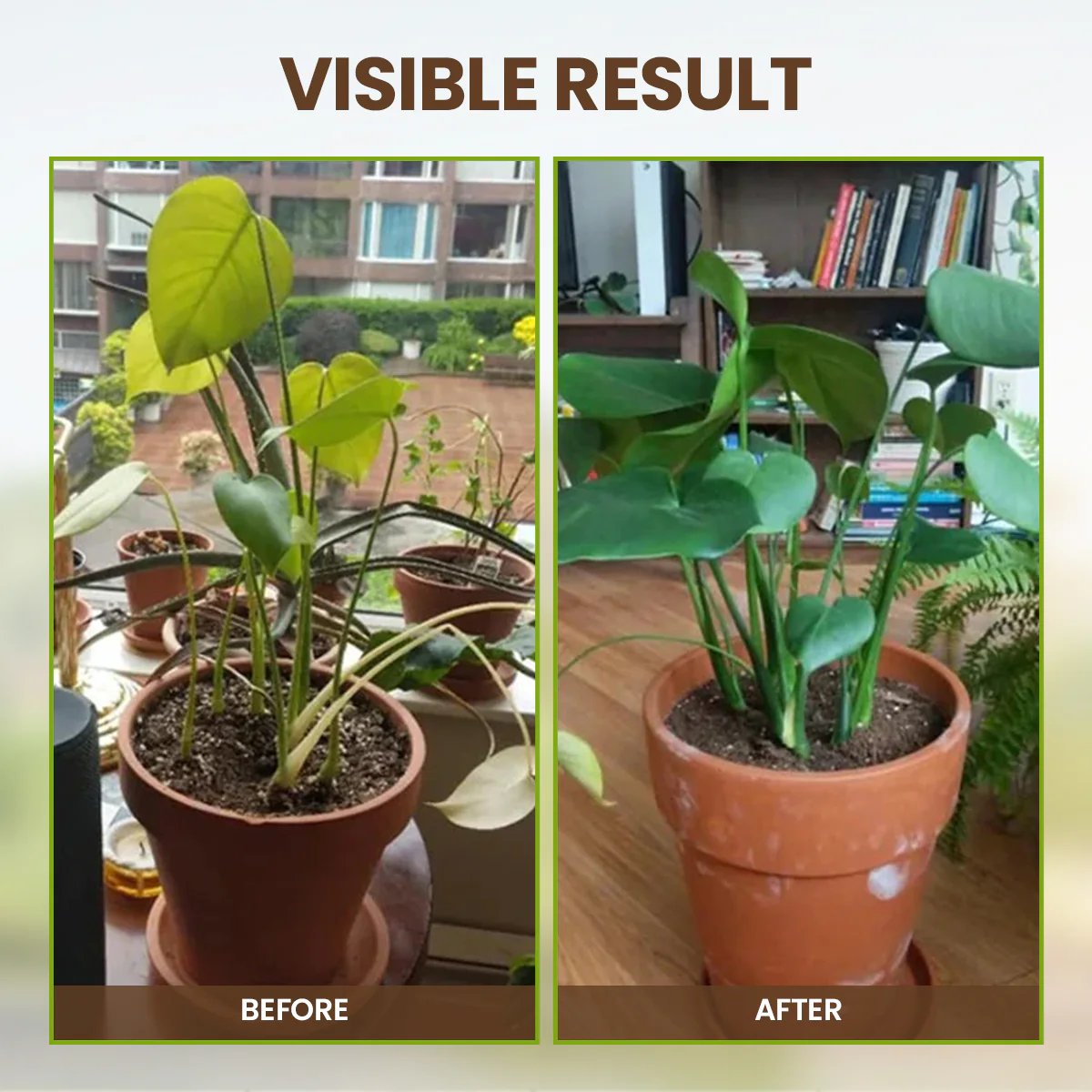 Daba™ Soil Activator – Revive Soil & Grow Stronger, Healthier Plants Naturally