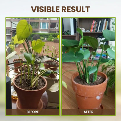 Daba™ Soil Activator – Revive Soil & Grow Stronger, Healthier Plants Naturally
