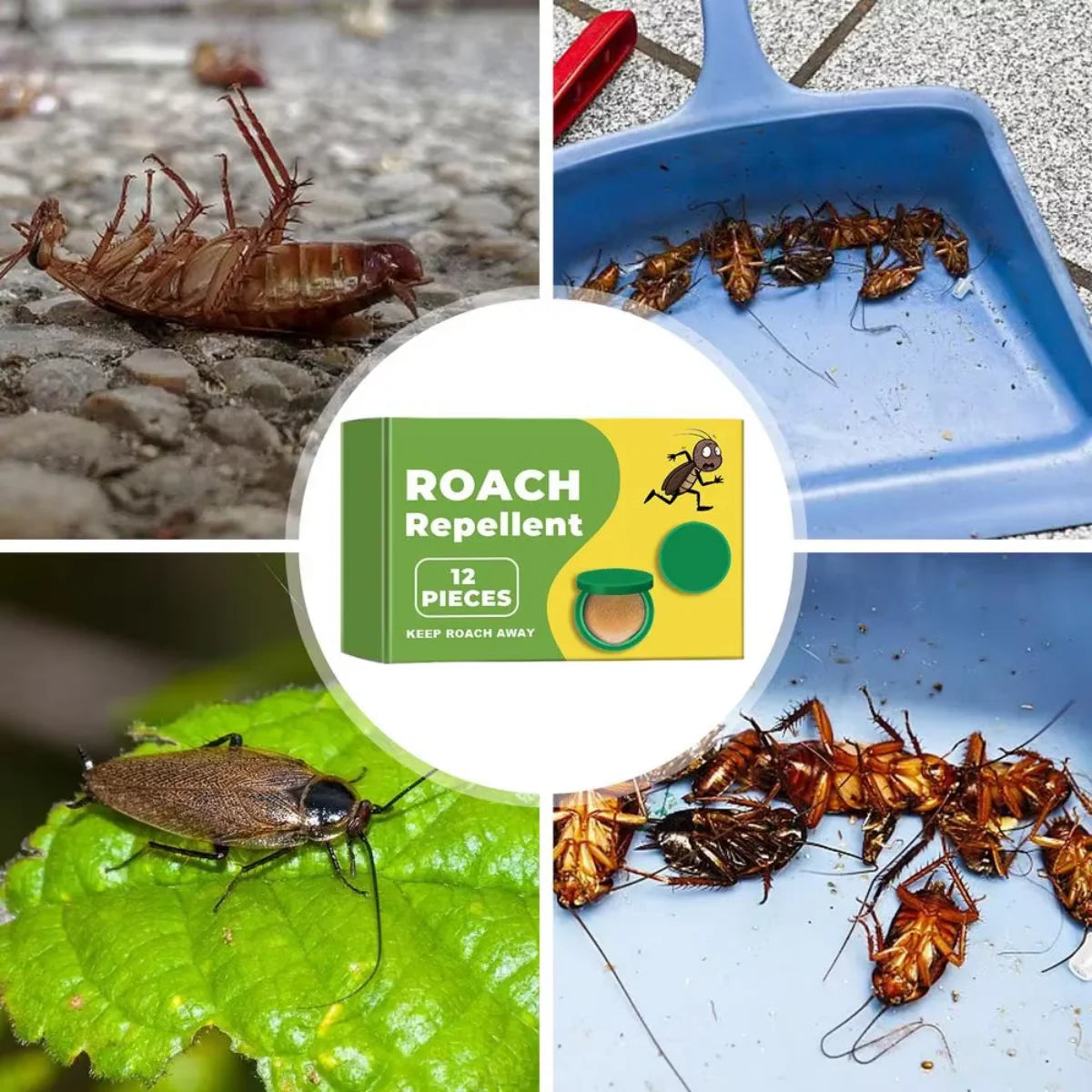 Daba™ Roach Defense Bait - Stop roaches at the source