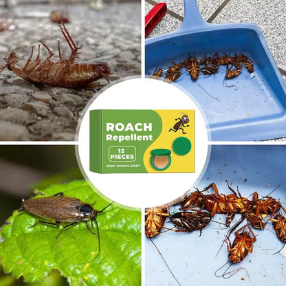 Daba™ Roach Defense Bait - Stop roaches at the source