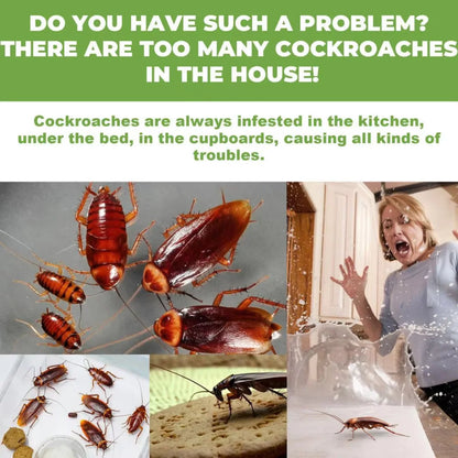 Daba™ Roach Defense Bait - Stop roaches at the source