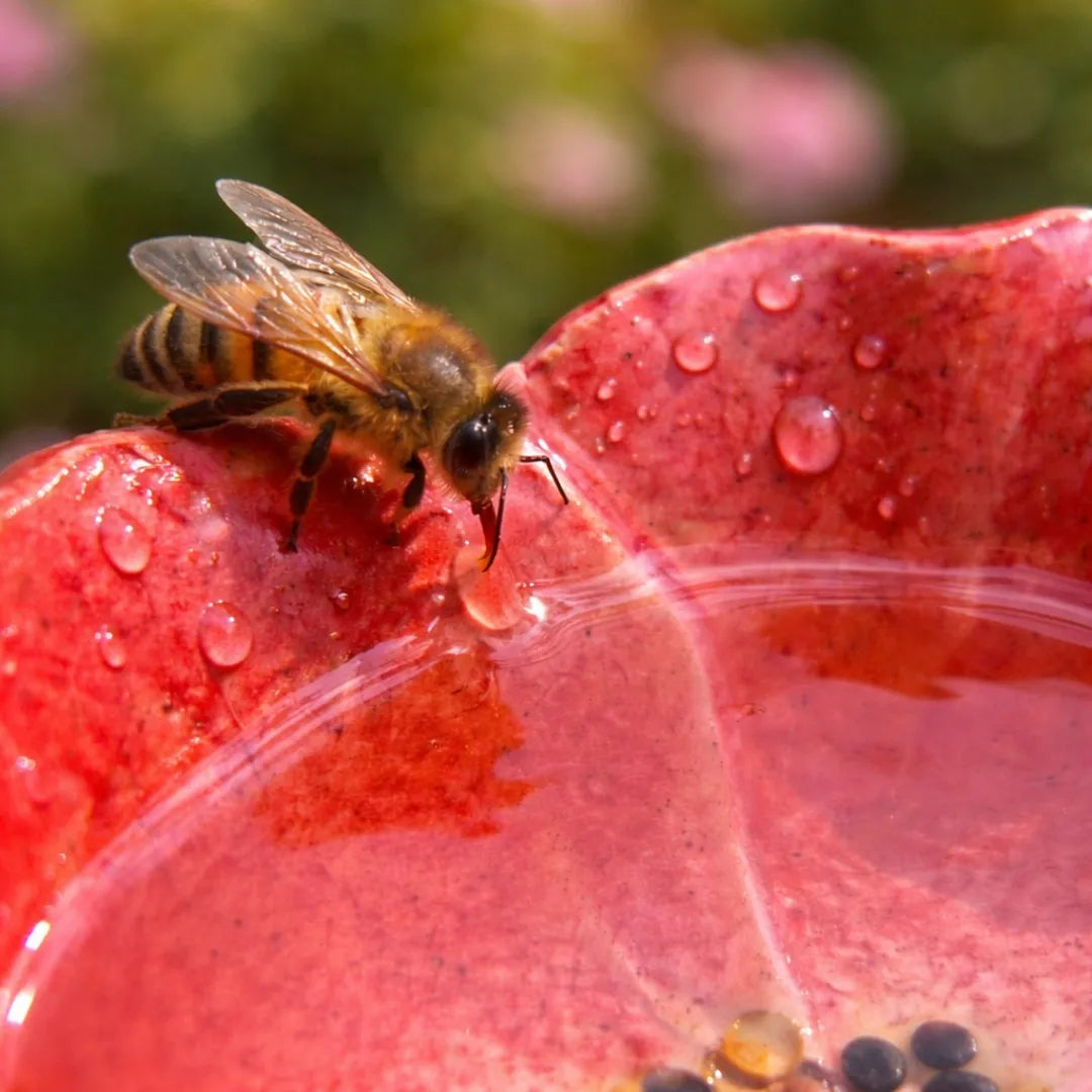 Handmade Bee Flowers – Weather-Resistant Ceramic Bee Waterers