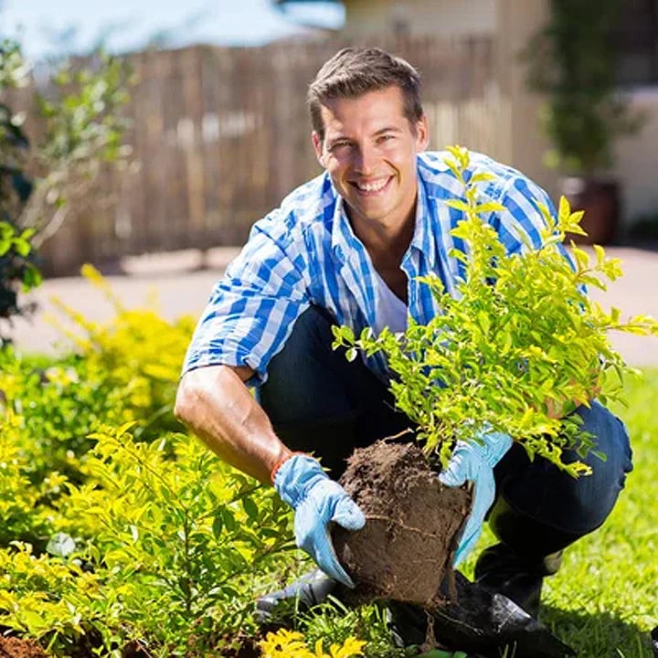 Daba™ Soil Activator – Revive Soil & Grow Stronger, Healthier Plants Naturally