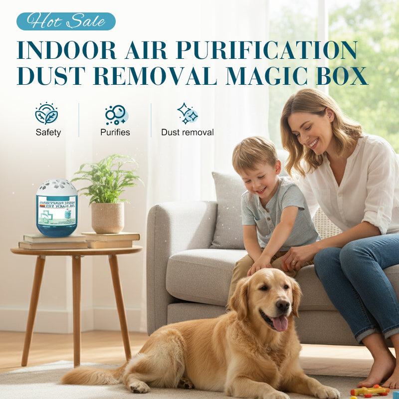 Daba™🔥2026 New Collection-70% OFF⏰Indoor Air Purification Dust Removal Magic Box🏠🌿