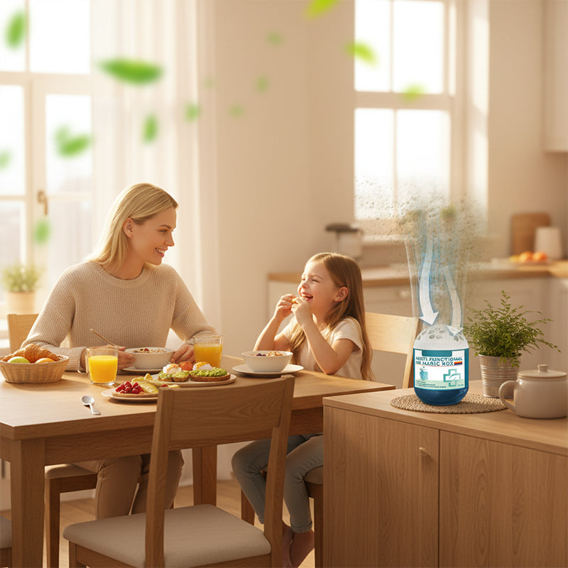 Daba™🔥2026 New Collection-70% OFF⏰Indoor Air Purification Dust Removal Magic Box🏠🌿
